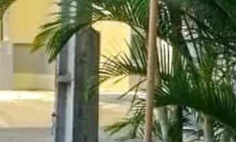 Imagem 4: Imóvel para venda com 2 quartos em Planalto - Natal - RN