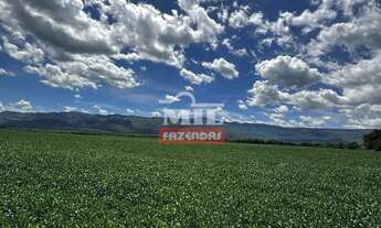 Imagem: Fazenda 363 alqueires ( 1.760 hectares )