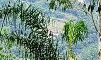 Imagem 5: Sítio / Chácara para Venda em Nova Petrópolis, Linha Riachuelo