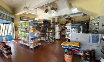 Imagem 5: Locação Salão Comercial Sao Caetano do Sul Nova Gerti Ref: 45595