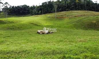 Imagem 2: Terreno 9,6 ha à Venda em Araguaia, Alfredo Chaves/ES