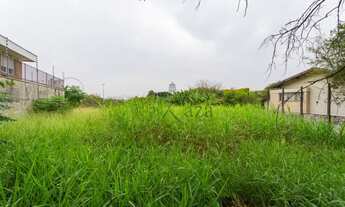 Imagem 7: Terreno Residencial - Alto de Pinheiros - 1.541m²