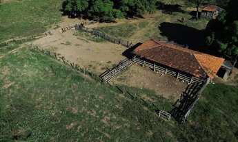 Imagem 6: FAZENDA DE 52 HEC DE PORTEIRA FECHADA A 10 KM DE BURITIS - MG