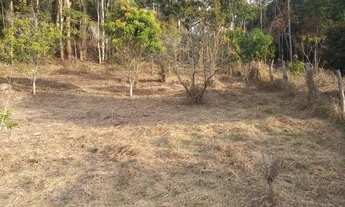 Imagem 6: CHÁCARA DE 3.800M² OPORTUNIDADE ÚNICA!