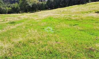 Imagem 3: Chácara na Linha Vicentina