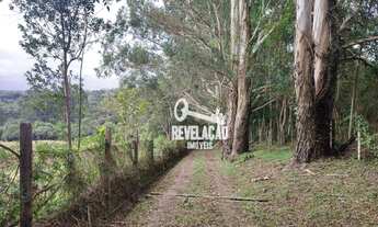 Imagem 3: Chácara com 3 dormitórios à venda, 45000 m² por R$ 2.000.000,00 - Roça Velha - São José do