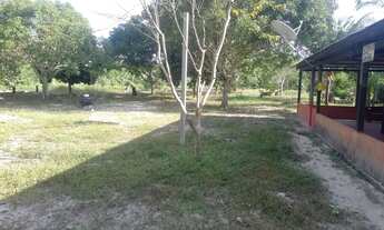 Imagem 4: Sítio na estrada de Novo Airão