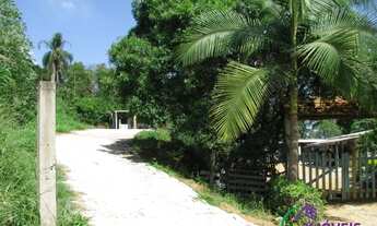 Imagem 3: AREA - LARANJA AZEDA - SP