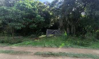 Imagem 7: Chácara à venda, 12000 m² por R$ 250.000 - Areia Branca dos Assis - Mandirituba/Paraná