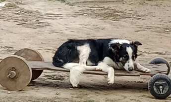 Imagem 4: Casa no bairro Passo grande