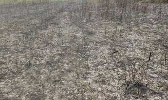 Imagem 2: Terreno Plano 640m² - Oportunidade! aceito proposta! troca ! União dos Palmares