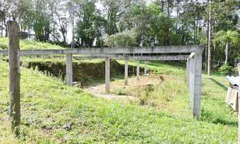 Imagem 6: Sítio em Rodovia RS-020 - Vera Cruz - Gravataí/RS