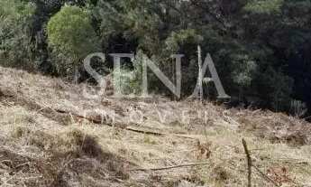 Imagem 3: Terreno Em Condominio / Venda