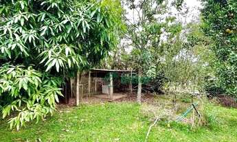 Imagem 3: Chácara de 1000m² na Estância Antiga - Gravataí