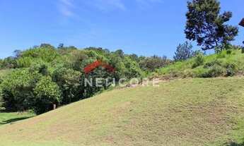 Imagem 3: Lote em ESTRADA MUN.JOAO LUCIO PRADO - Campo Largo - Jarinu/SP