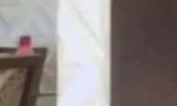 Imagem 5: APARTAMENTO - VILA NOVA JUNDIAINÓPOLIS - SP