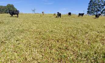 Imagem 4: Sorocaba Região 12.5 Alqueires