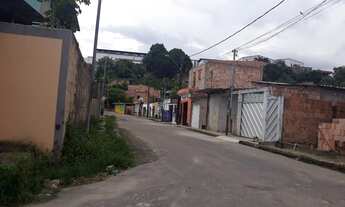 Imagem: Colonia Terra Nova / Jesus Me Deu