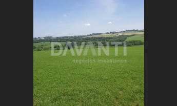 Imagem 2: área - Centro - Holambra