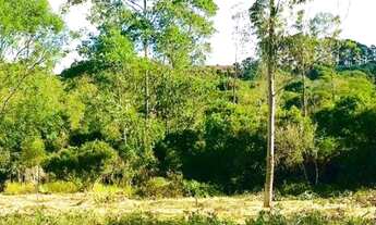 Imagem: Lotes à venda A.C OPORTUNIDADE ÚNICA