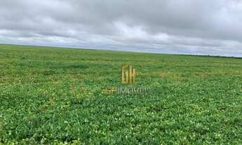 Imagem 7: Fazenda à venda, 6100 Hectares por R$ 770.000 - Zona Rural - Nova Maringá/MT