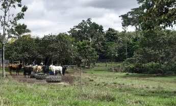 Imagem 3: Vende-se sitio Guarantã do norte - MT