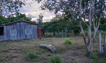 Imagem 3: Vende-se Sitio 16 alqueires