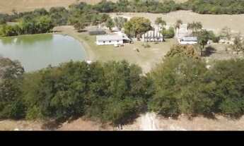 Imagem: Fazenda Silvania gameleira