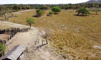 Imagem 3: Vendo chácara em Paraiso TO