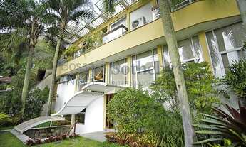 Imagem: Casa reformada com vista para o verde e