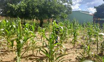 Imagem 6: Lote/Terreno para venda possui 360 metros quadrados em Villa Deifiore - Aparecida de Goiân
