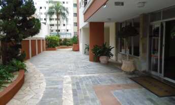 Imagem 6: Apartamento - Centro - Campinas