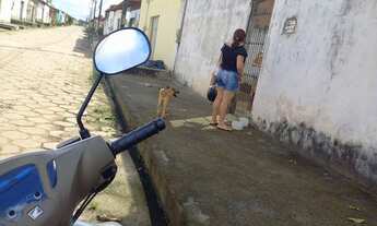 Imagem 7: Aluga-se casa Casa com 2 dormitórios