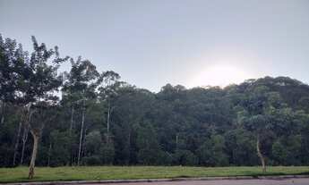 Imagem 3: Terreno Ibi Aram 2 *DIRETO PROP.* - vista reserva ambiental - oportunidade!