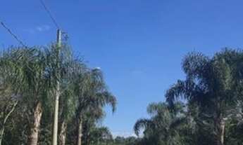 Imagem 7: Porto Alegre - Terreno Padrão - Campo Novo