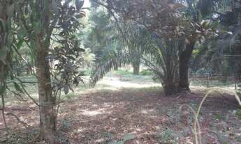 Imagem 4: Fazenda/Sítio/Chácara para venda com 8950 metros quadrados com 2 quartos