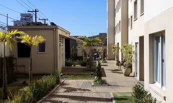 Imagem 7: Apartamento alugo