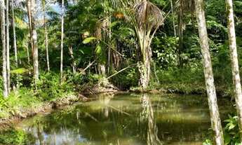Imagem: Vendo terreno