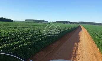 Imagem 2: Coromandel - Fazenda - Centro