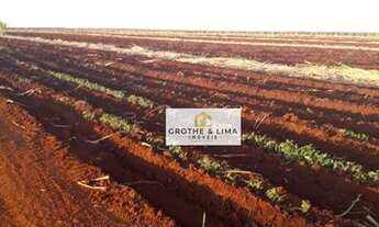 Imagem 3: Fazenda Ribeirão Preto