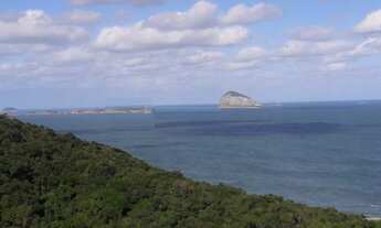 Imagem: Maravilhosa Cobertura de 401 metros quadrados