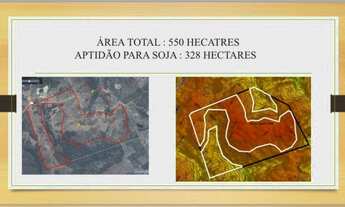 Imagem 4: Fazenda dupla aptidão Gurupi - TO