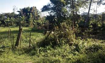 Imagem 5: Vendo terreno em barrão de irri.ária comercial.aceito proposta vem que tem conversar