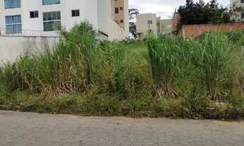 Imagem 2: Lote Bairro Cidade Nova. Cod. 064. Área 300 m², devidamente Registrado. Valor 180 mil
