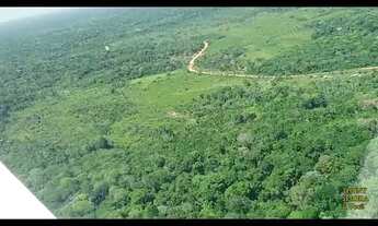 Imagem 5: 3.000 Hectares, área de compensação Ambiental Bioma Amazônico, Documentação Ok, Amazonas-A