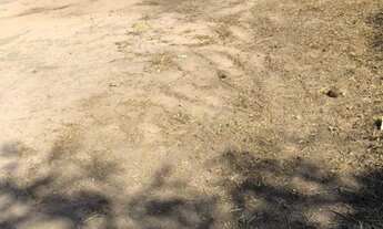 Imagem 3: Lote na Vila Sampaio