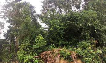 Imagem 3: Lote/Terreno para venda tem 330 metros quadrados em Ponta Negra - Manaus - Amazonas