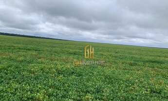 Imagem 5: Fazenda à venda, 6100 Hectares por R$ 770.000 - Zona Rural - Nova Maringá/MT