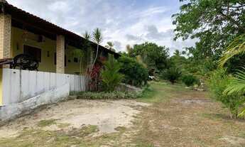 Imagem 2: Sitio/Granja/Fazenda em nova cruz