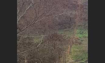 Imagem 7: 2235 REF ? Terreno à venda no Soledade